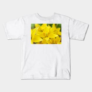 Tulipa urumiensis  Iran tulip  Miscellaneous Group Tulip Kids T-Shirt